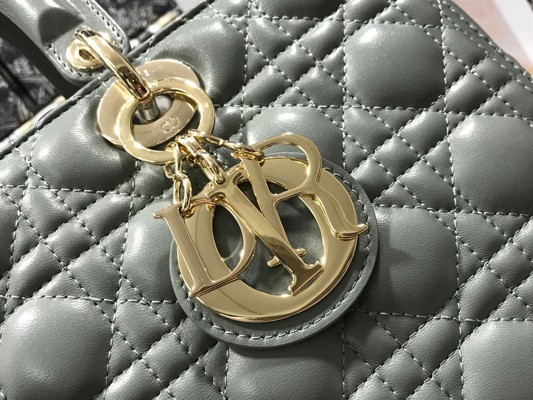 D10r Lady Bag 32 x 25 x 11cm