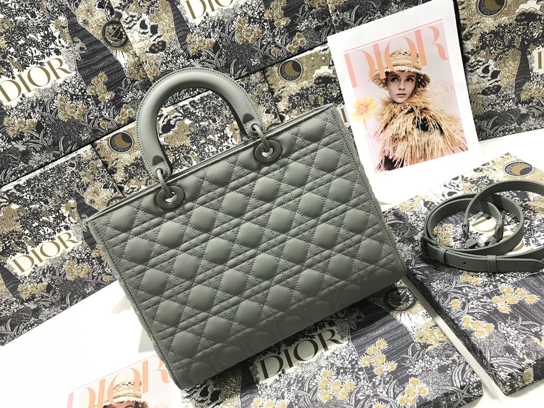 D10r Lady Bag 32 x 25 x 11cm