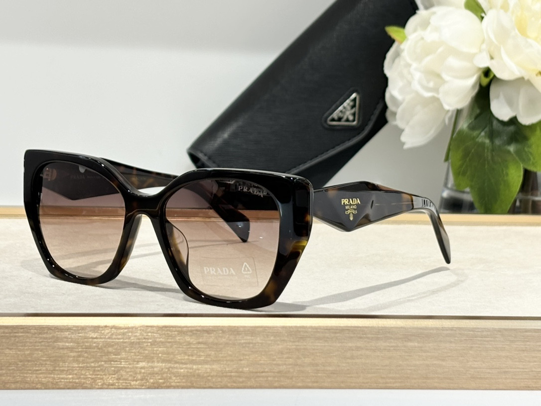 Pra*a Glasses SPR19Z 55-17-145