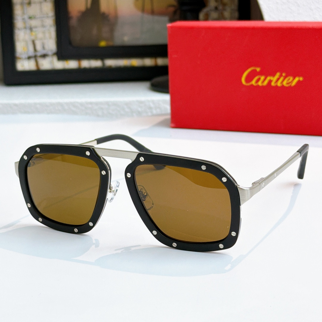 Ca*t1er glasses ct0573s 55-20-145