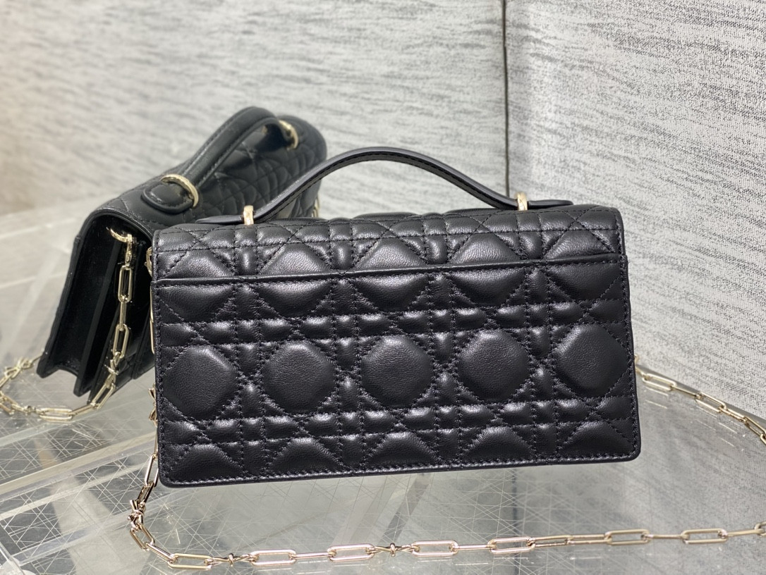 my D10r mini bag 21x11.5x4.5cm