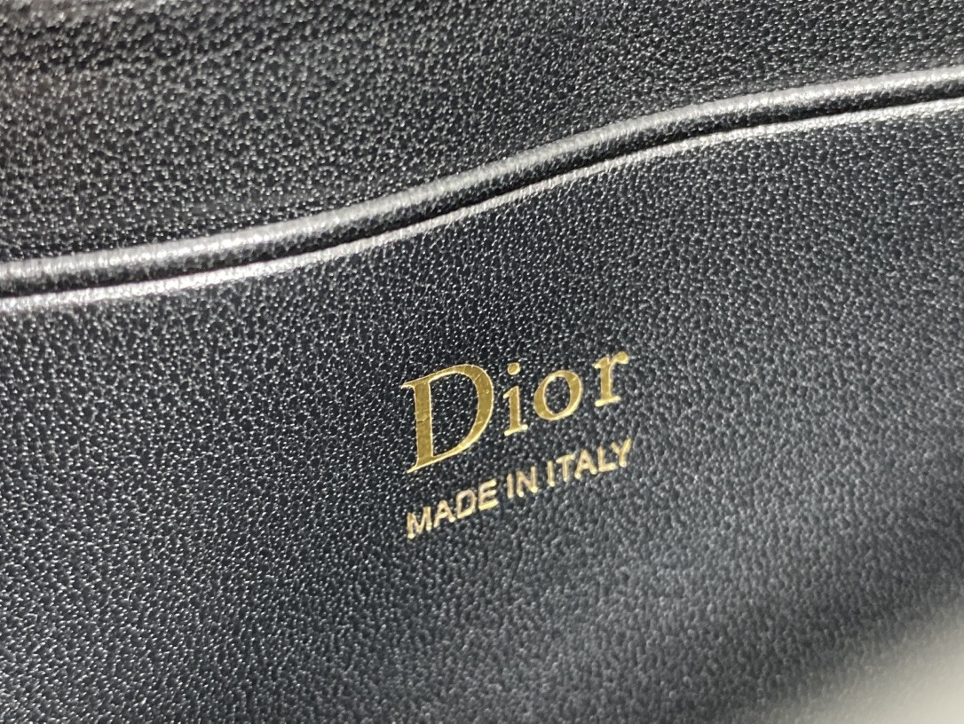 my D10r mini bag 21x11.5x4.5cm