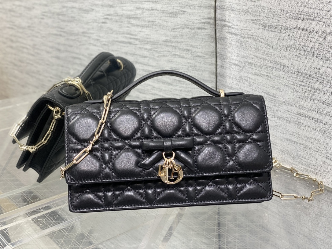 my D10r mini bag 21x11.5x4.5cm