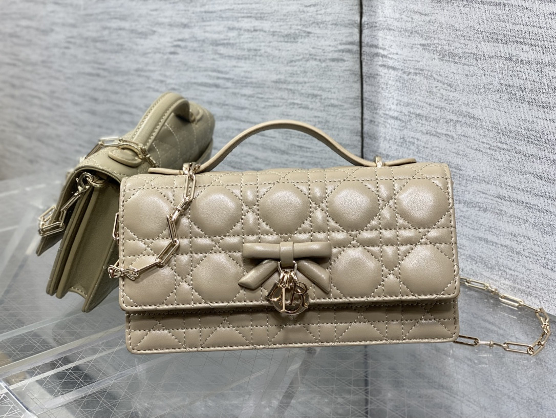 my D10r mini bag 21x11.5x4.5cm
