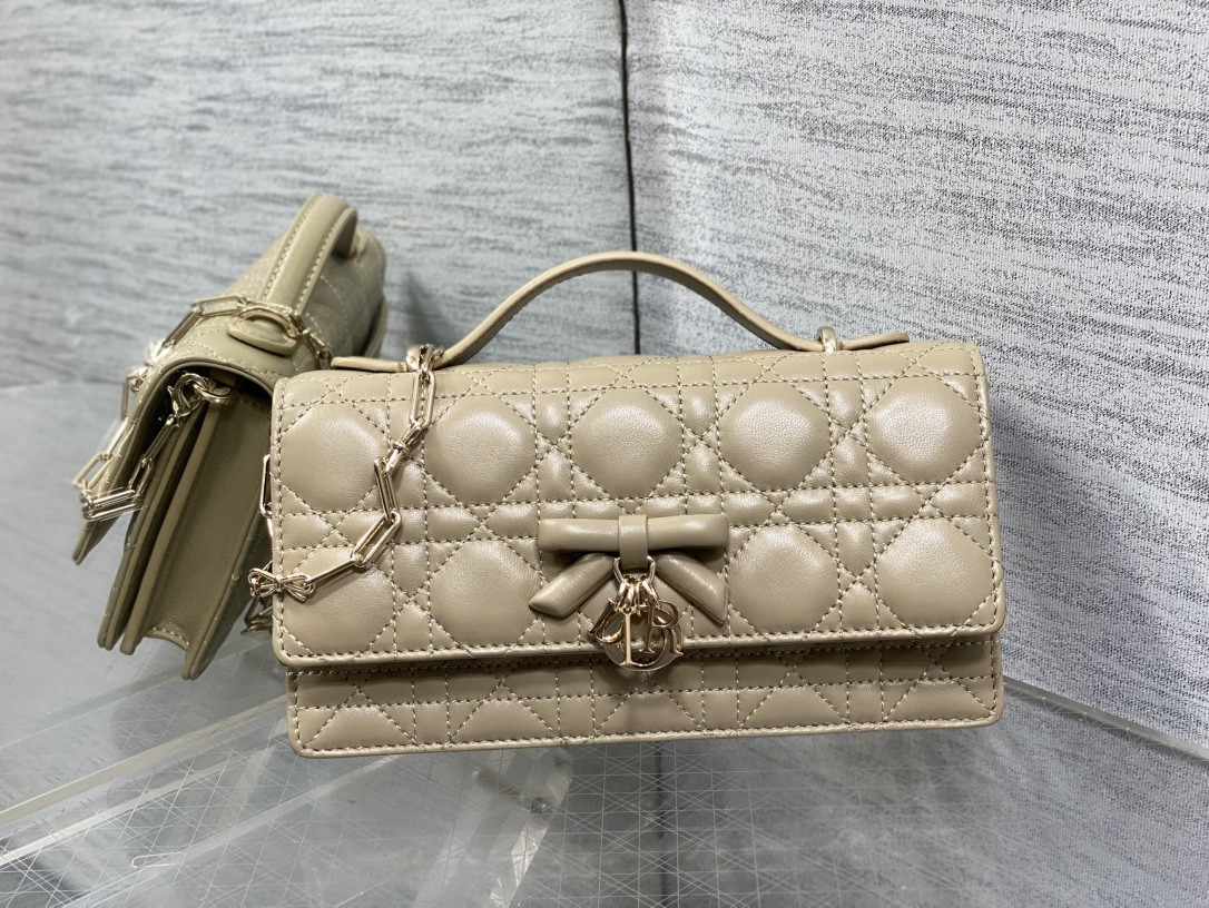 my D10r mini bag 21x11.5x4.5cm