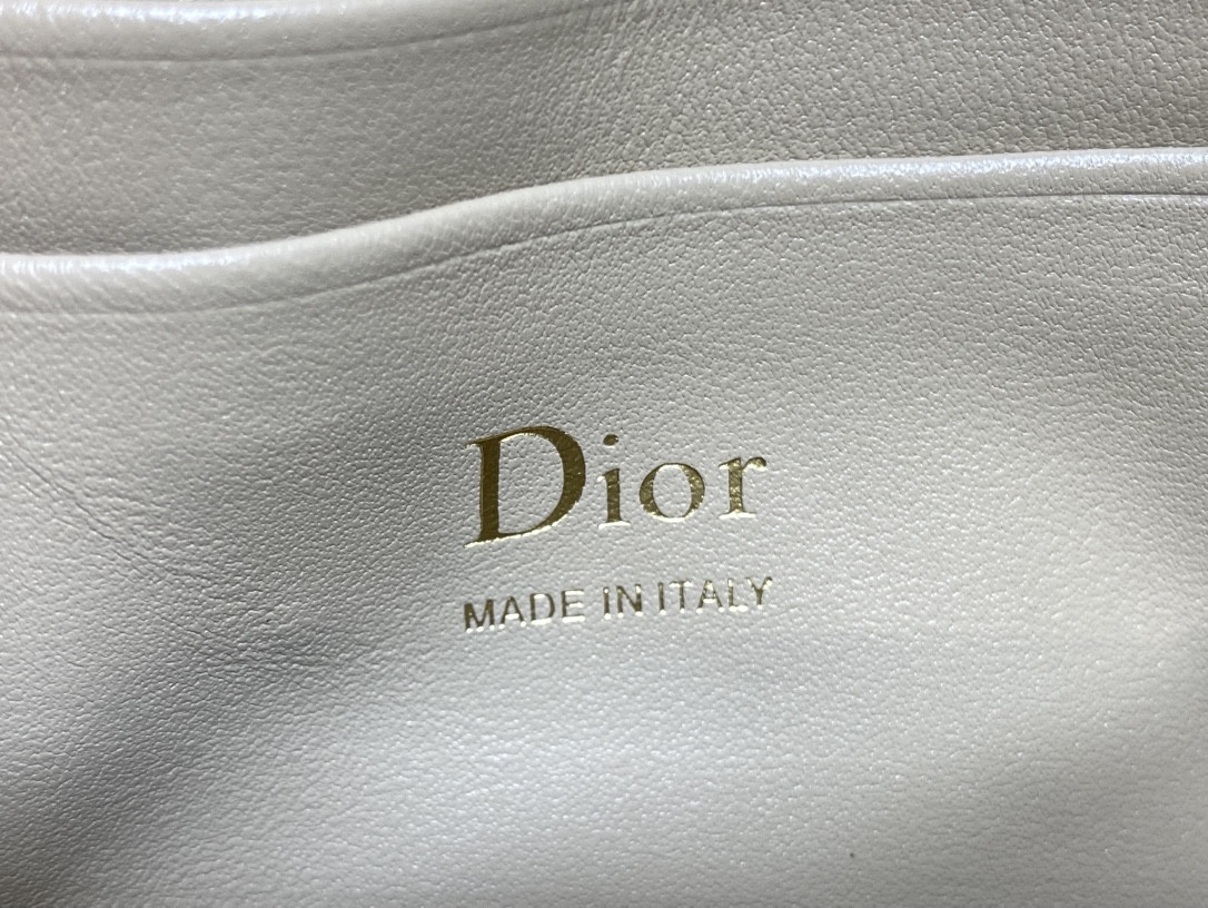my D10r mini bag 21x11.5x4.5cm