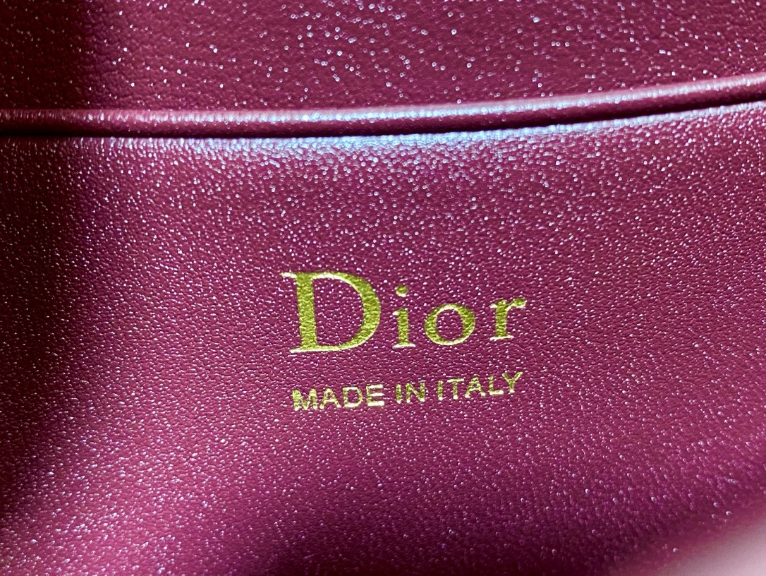 my D10r mini bag 21x11.5x4.5cm