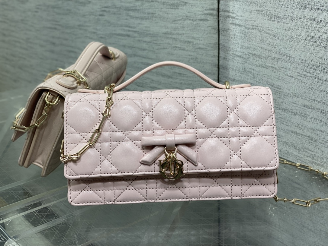 my D10r mini bag 21x11.5x4.5cm