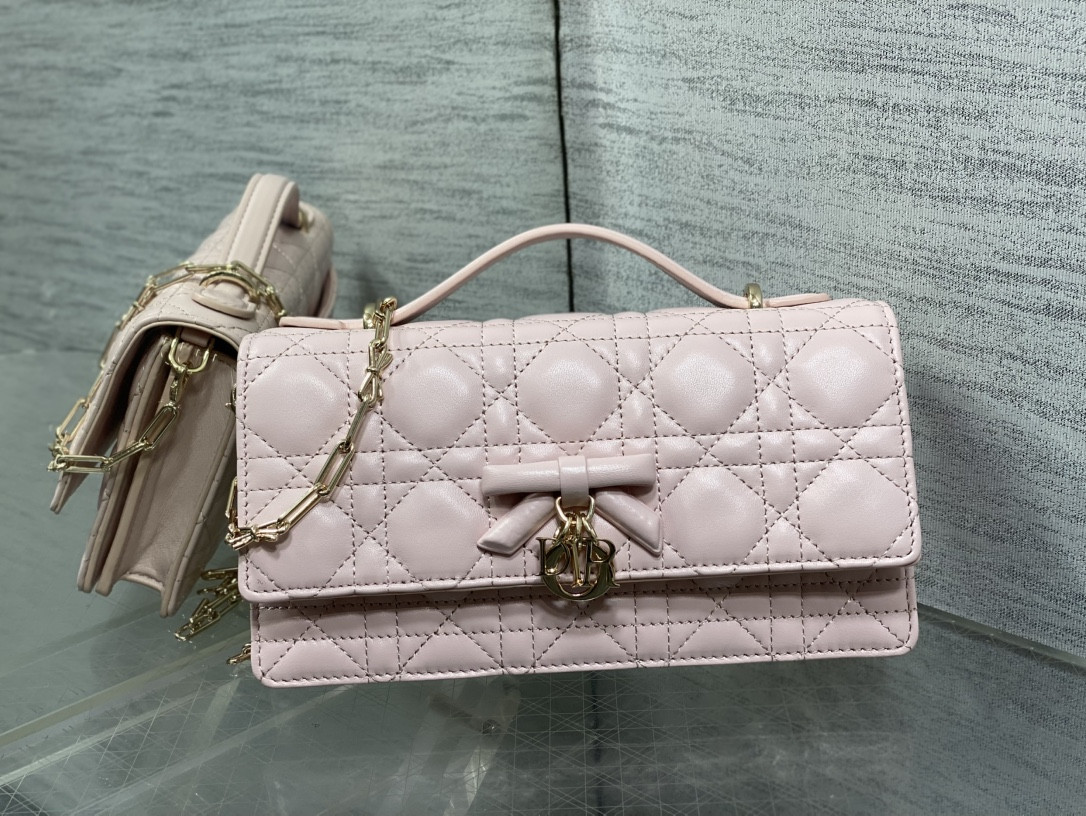 my D10r mini bag 21x11.5x4.5cm
