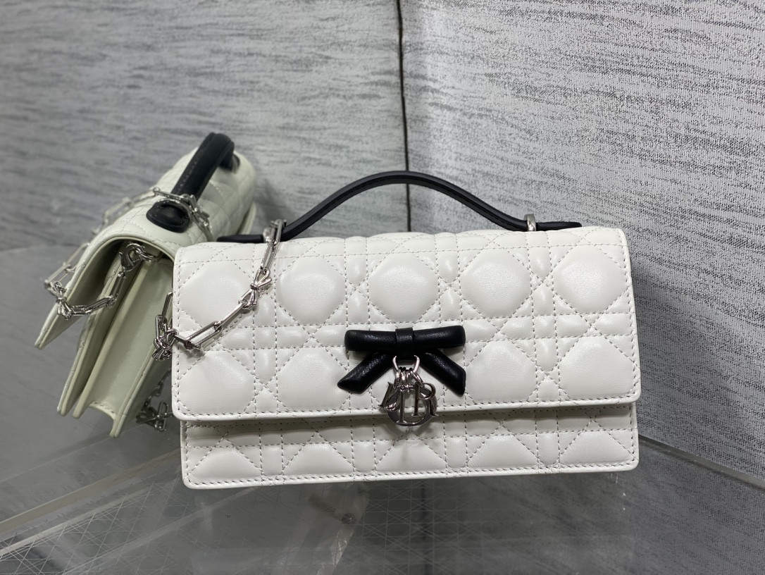 my D10r mini bag 21x11.5x4.5cm
