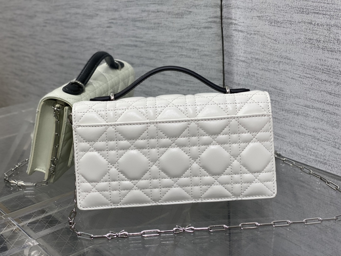 my D10r mini bag 21x11.5x4.5cm