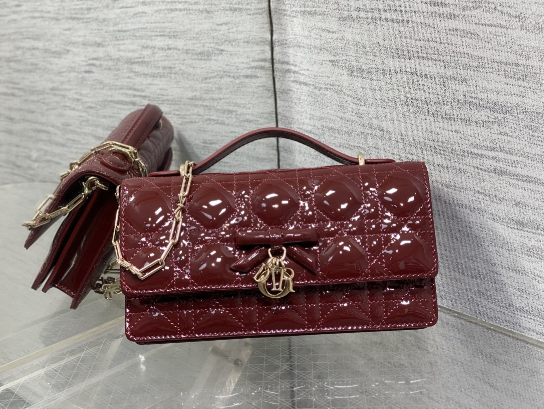 my D10r mini bag 21x11.5x4.5cm