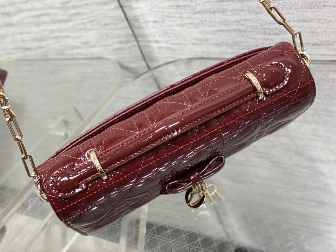 my D10r mini bag 21x11.5x4.5cm