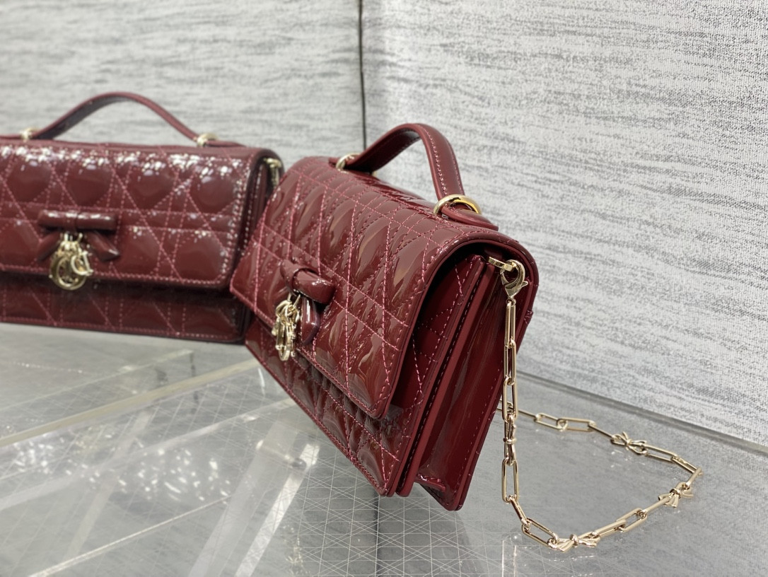 my D10r mini bag 21x11.5x4.5cm