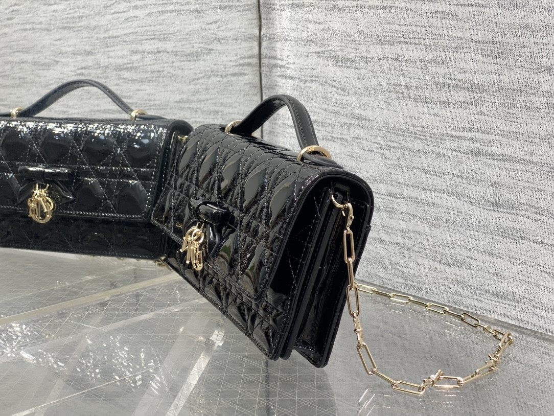 my D10r mini bag 21x11.5x4.5cm