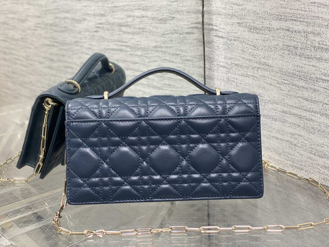 my D10r mini bag 21x11.5x4.5cm