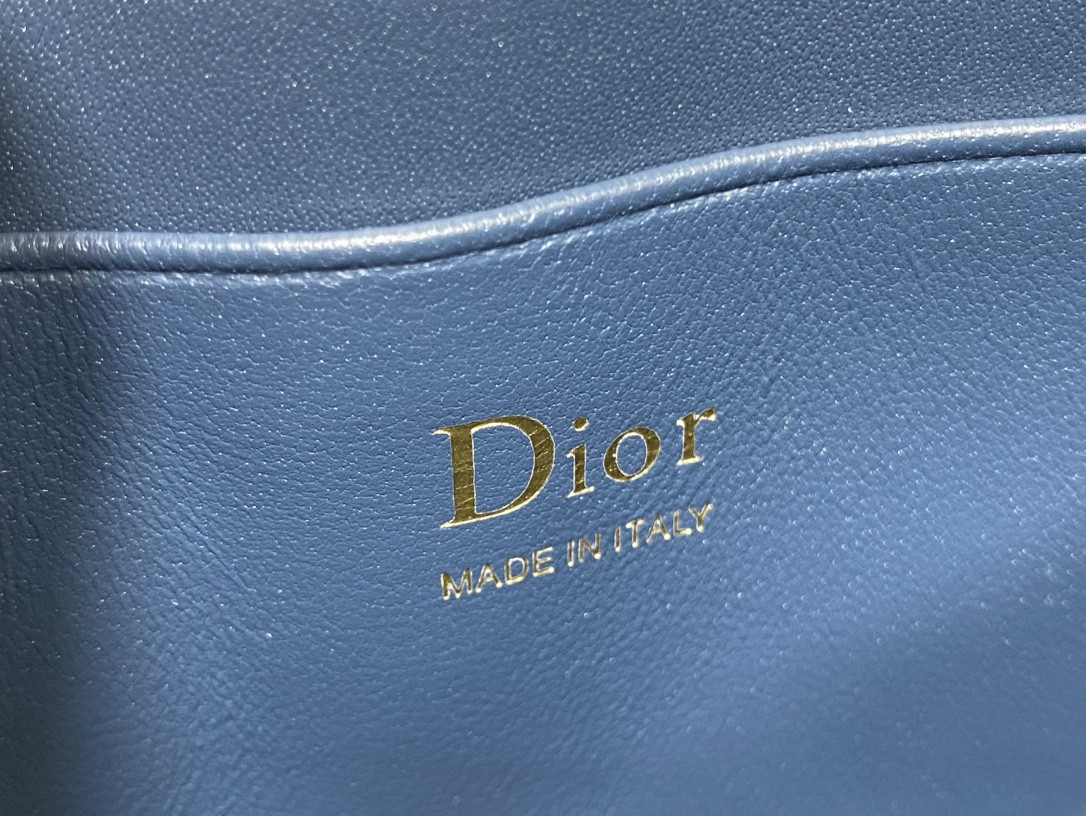 my D10r mini bag 21x11.5x4.5cm