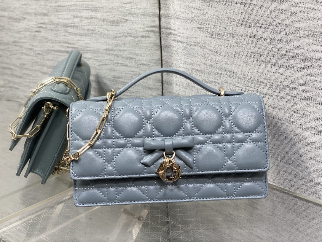 my D10r mini bag 21x11.5x4.5cm