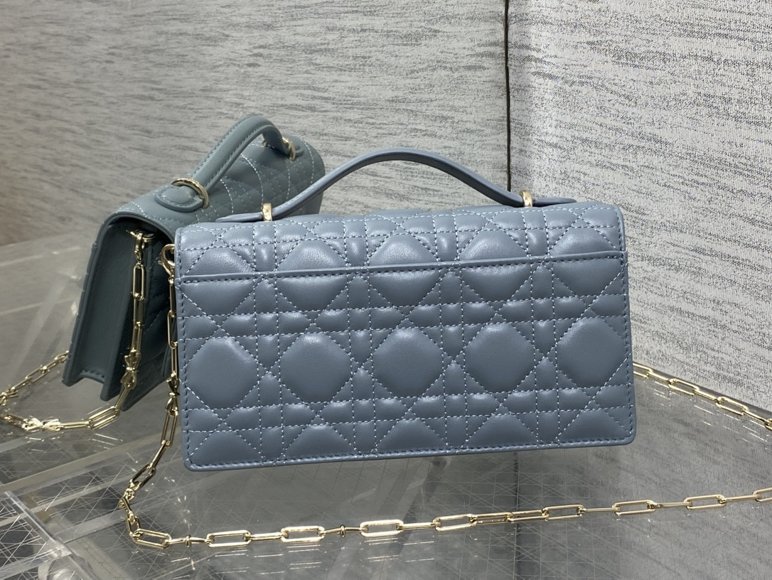 my D10r mini bag 21x11.5x4.5cm