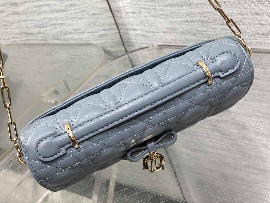 my D10r mini bag 21x11.5x4.5cm