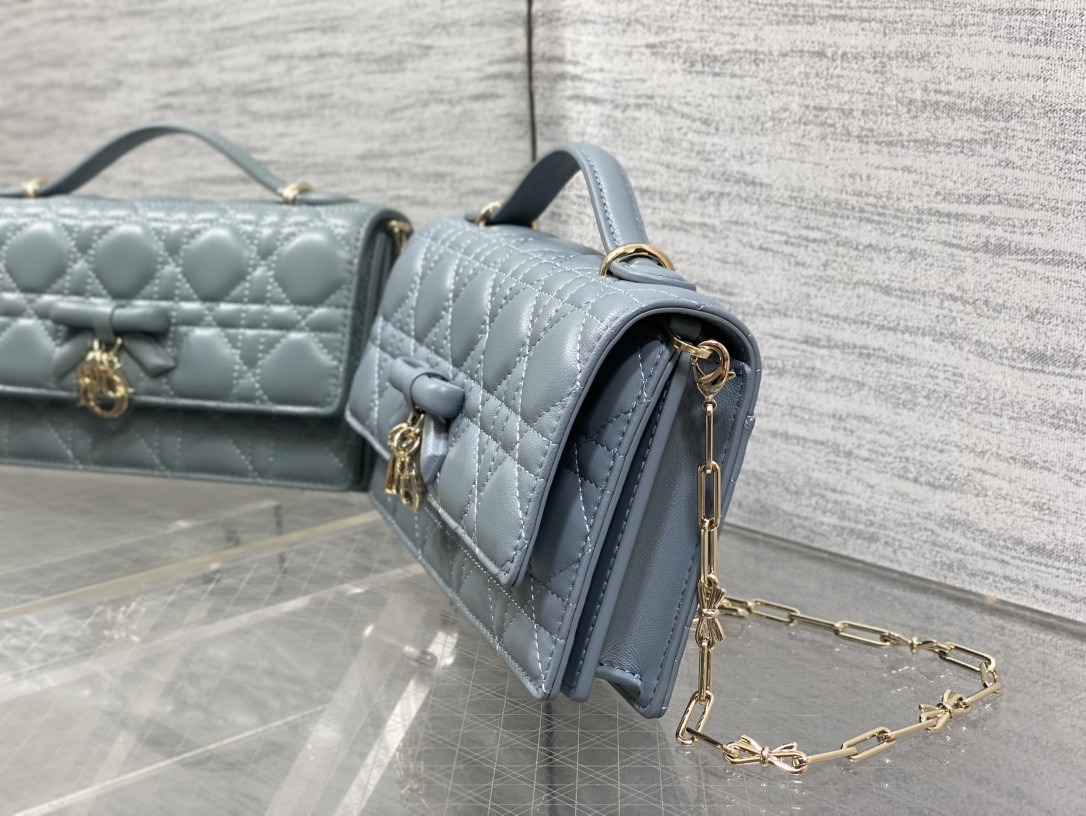 my D10r mini bag 21x11.5x4.5cm