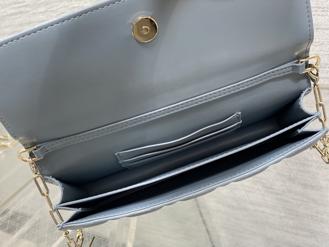 my D10r mini bag 21x11.5x4.5cm